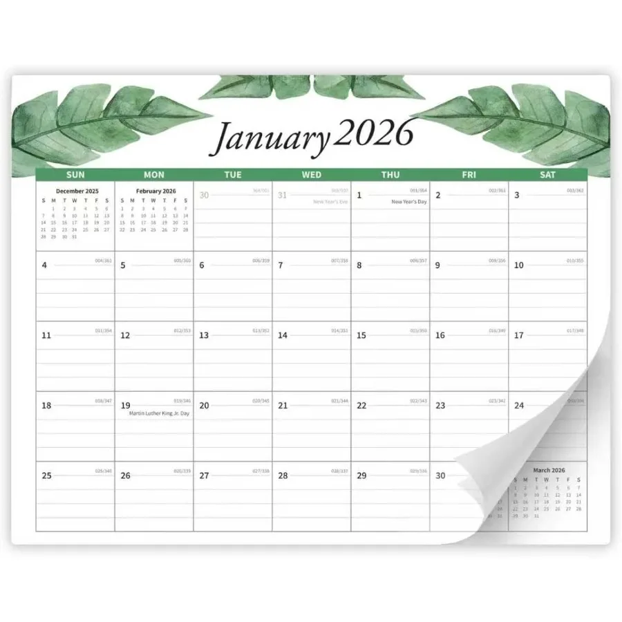 2026 Calendar Magnetic Calendar for Refrigerator Runs from July 2025 to December 2026 Fridge Calendars for School Office and Ho