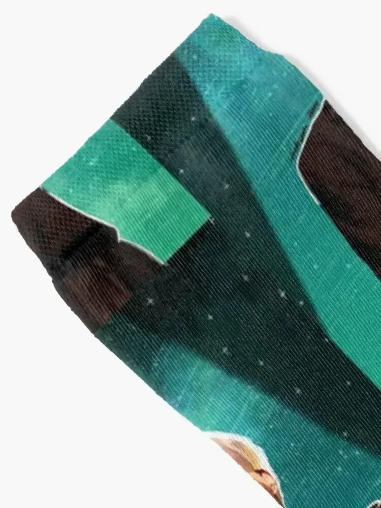 Shinee Jonghyun Socks Rugby designer brand golf moving stockings Socks For Man Women's