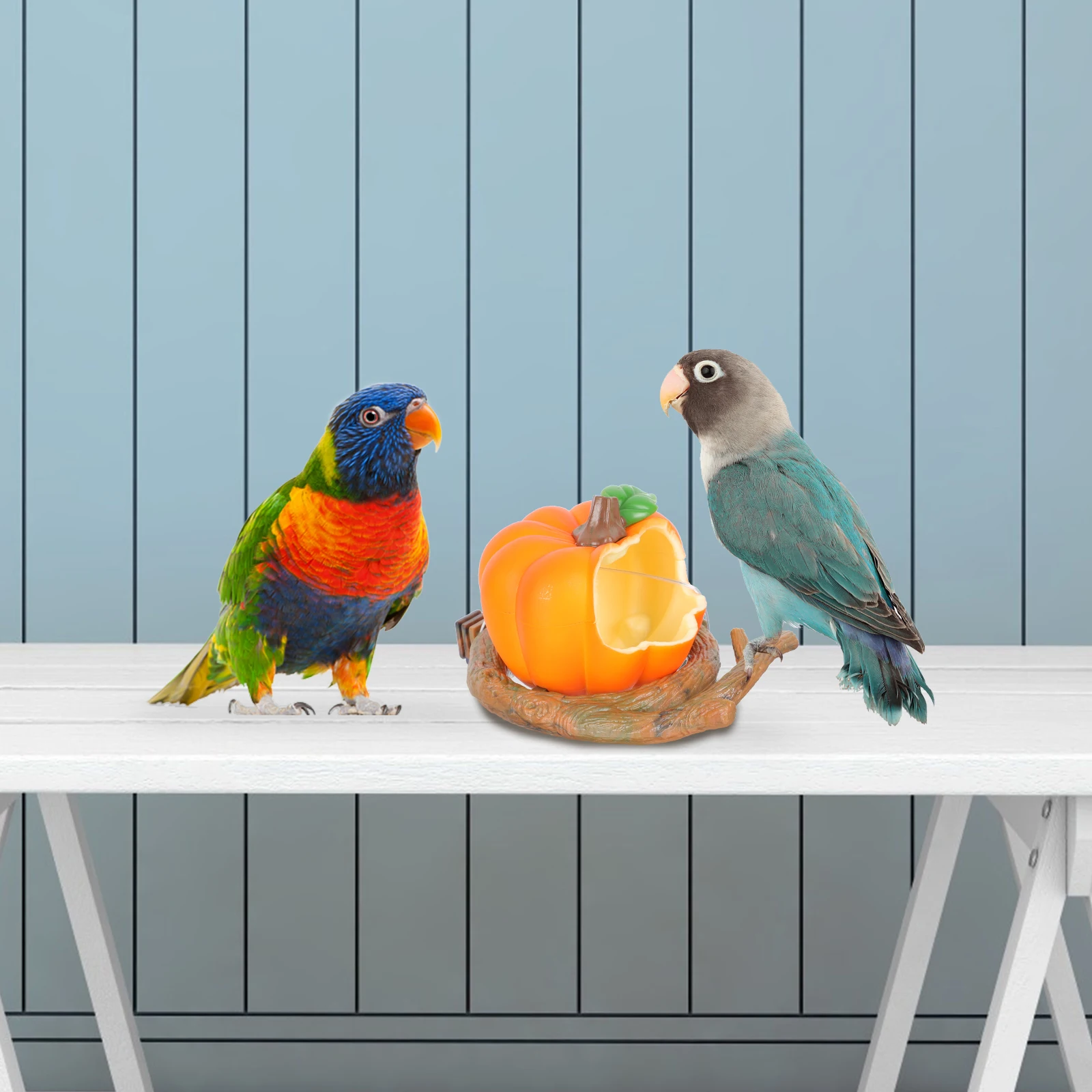 

Plastic Bird Feeder Durable Fruit Style Parrot Feeding Box Outdoor Food Dispenser Cage Cup Suitable for Tiger Skin Peony
