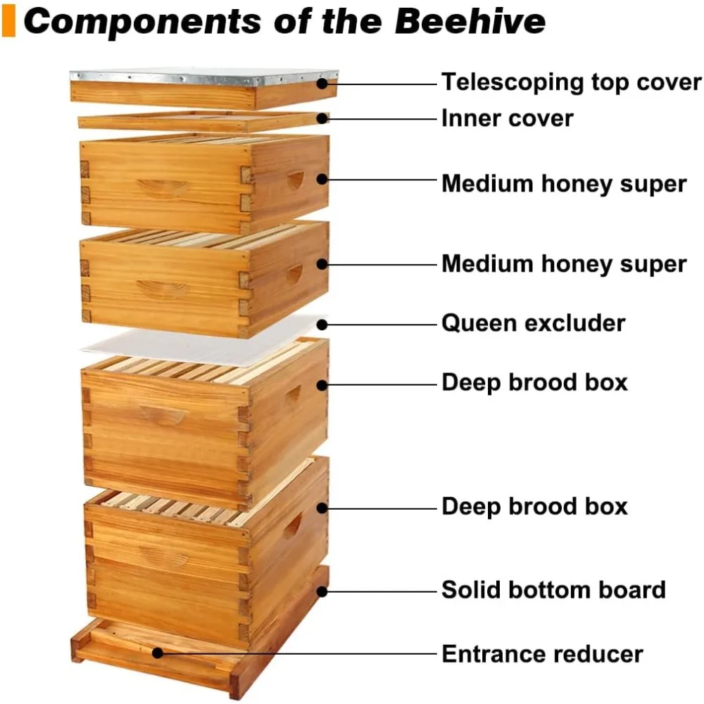 Beehive 8-Frame Bee Hives and Supplies Starter Kit, Honey Bee Hives Includes 2 Deep Bee Boxes 2 Medium Bee Hive Boxes