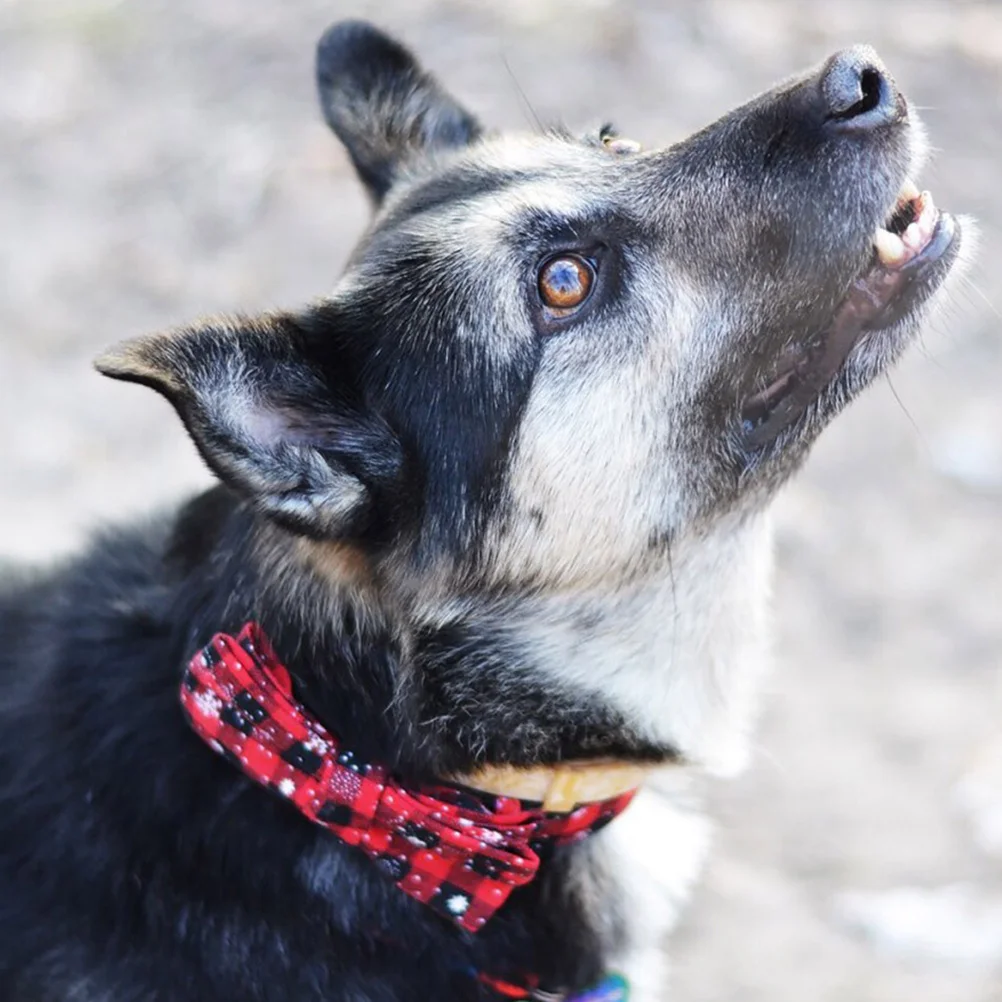 

2Pcs Pet Collar Set Handmade Scratch Resistant Christmas Bow Tie Collar Outdoor Indoor Xmas Pet Neck Chain Stylish Photo Prop