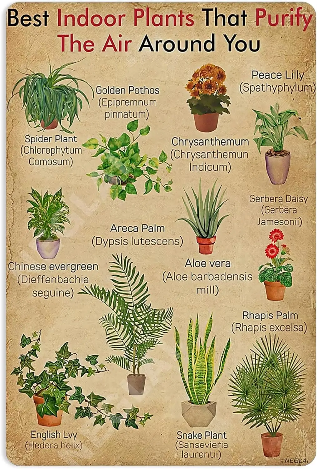 Best In Plants That Purify The Air Around You Knowledge Metal Signs Poster, Farmhouse Wall decorations Garden Vintage Decor es-a
