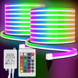 Luces LED RGB con cinta de cuerda de neón remota, tira de luces LED, lámpara de casa para sala de juegos, luces de cuerda de neón, 32,8 pies/10m