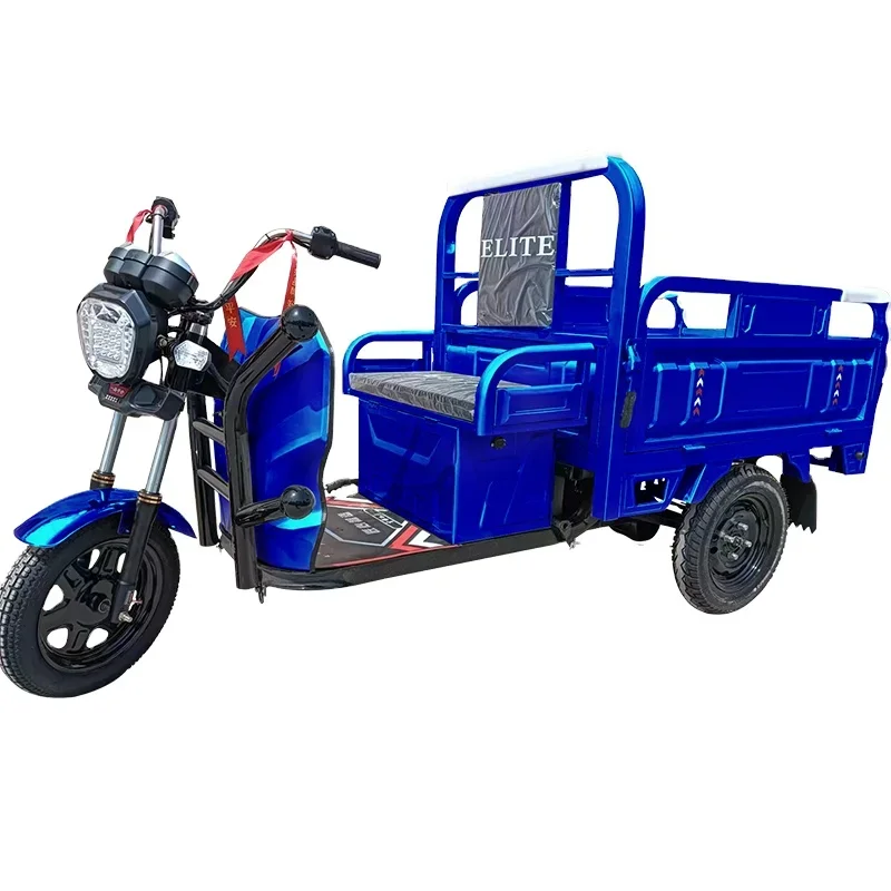 Cargo Delivery 3 Wheeler With Carrier Box For Adults 500kg Load Electric Mini Van Cargo Tricycle