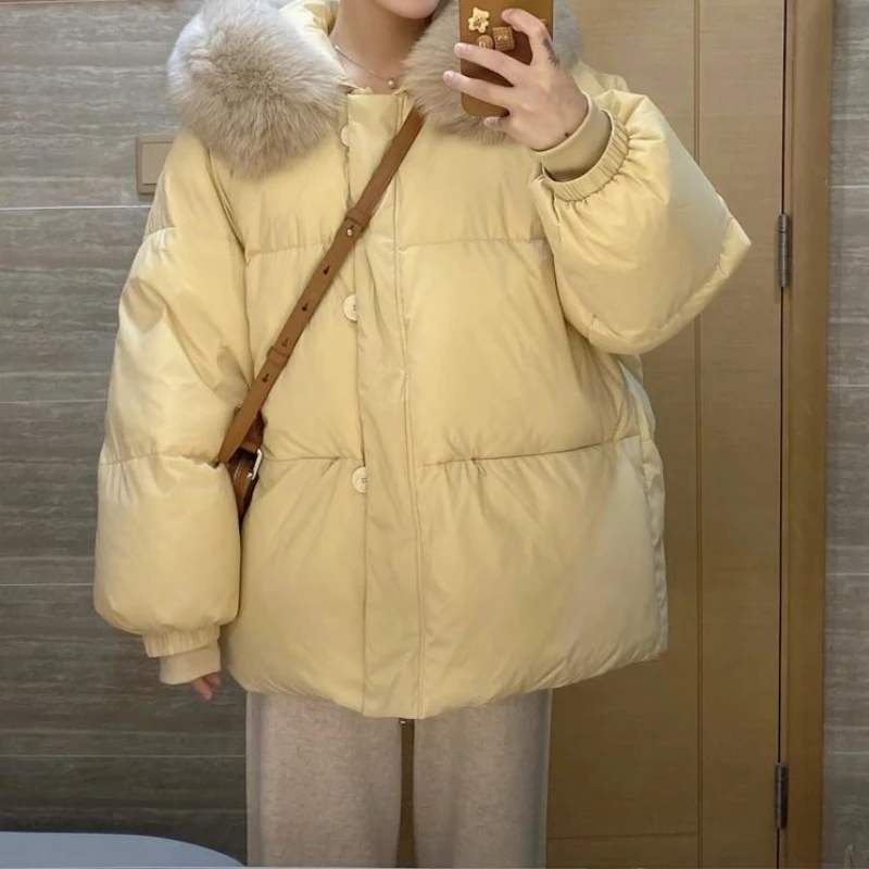 

Short Down Cotton Jacket with Fur Collar for Women, Winter 2025 New Stylish Niche Design Puffer Coat