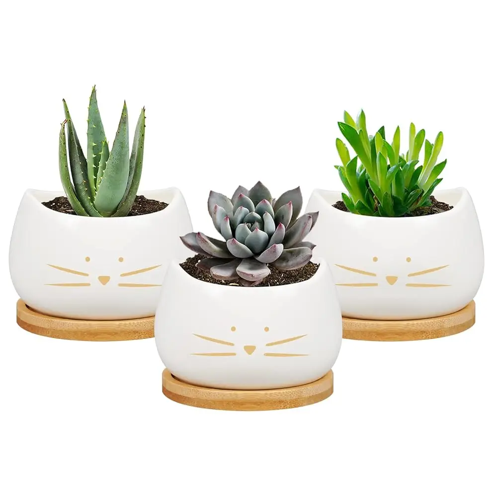 

Керамические горшки для суккулентов в форме милого котика, 3,2 дюйма, со съемным поддоном, уникальные кашпо для кактусов, декоративные фарфоровые вазы для цветов