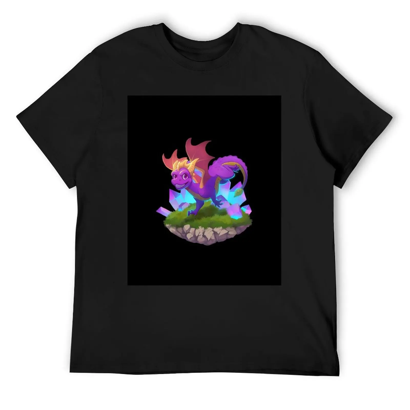 

The Dragon Spyr0/Best Gift For You T-Shirt