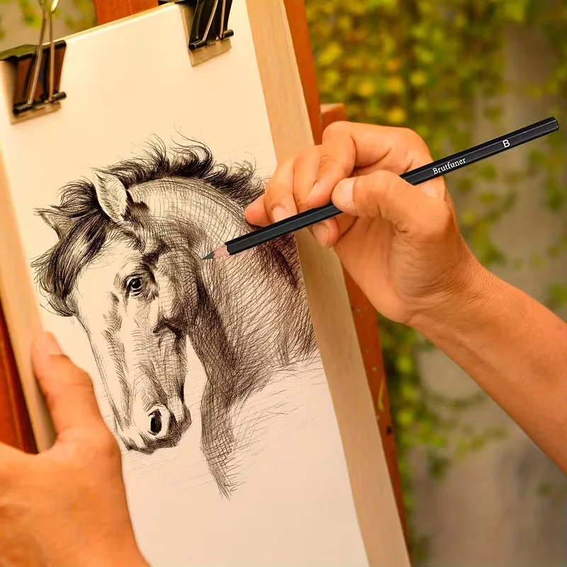 Brutfuner 18/29 Pro Professional Artist Sketching & Drawing Pencil Set with Charcoal, Erasers, Sharpener & Stumps