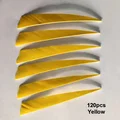 120pcs yellow