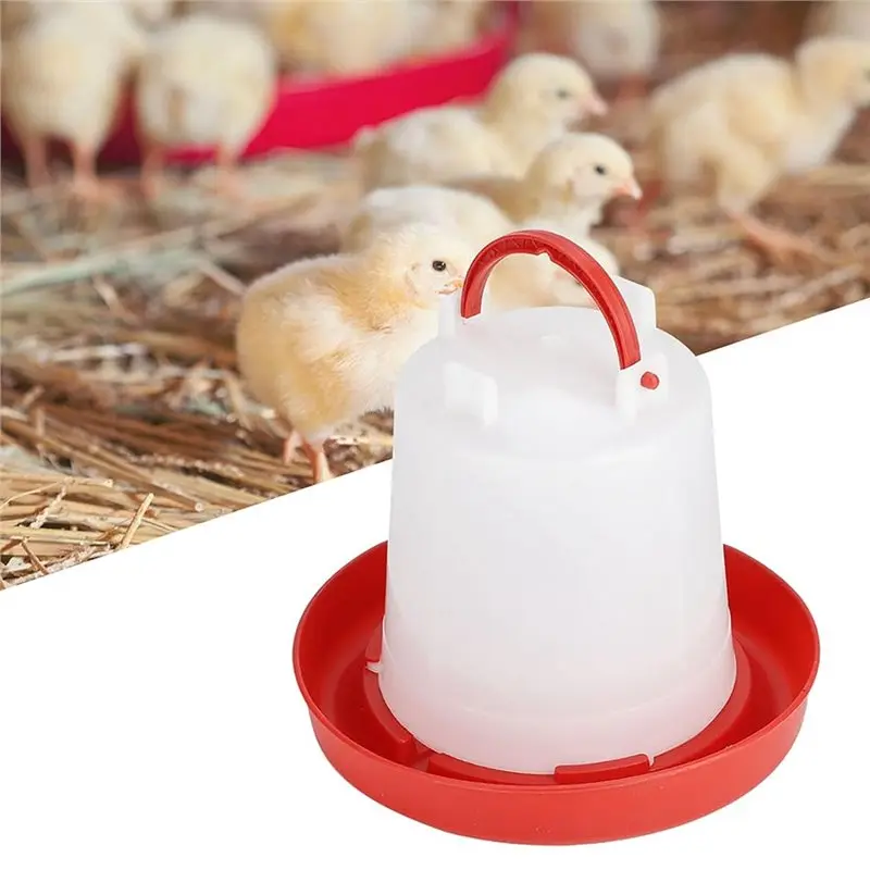 ABJN-Chicken Feeder 1.5Kg With Leg Stand-Designed For Efficient Ideal For Poultry Food And Water Dispensing