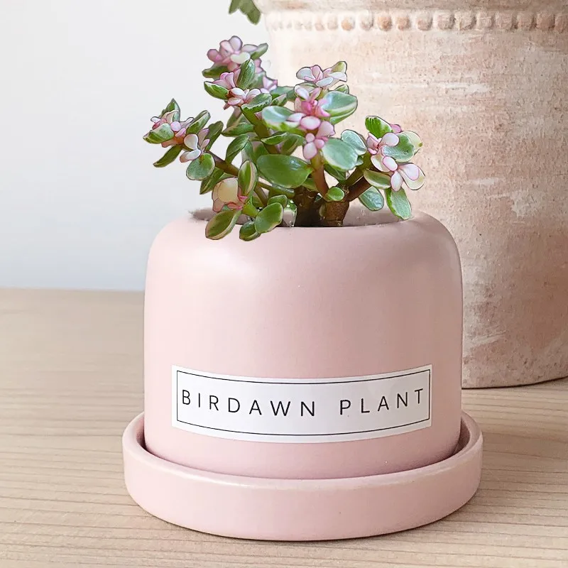 Ins Minimalist Pink And White Ceramic Vase, Ceramic Pot For Succulent Plants. Empty Bottle For Tabletop Storage