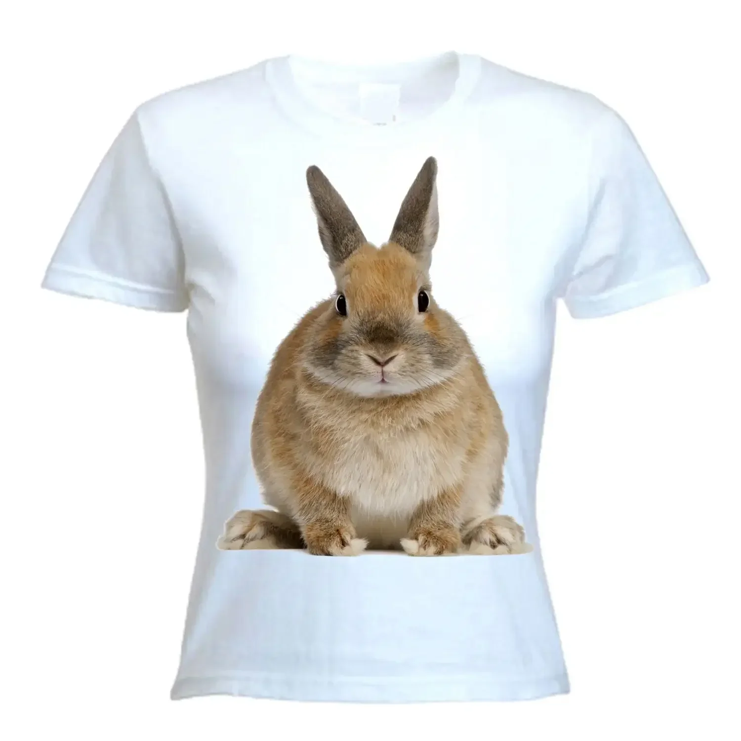 Rabbit Women's T Shirt