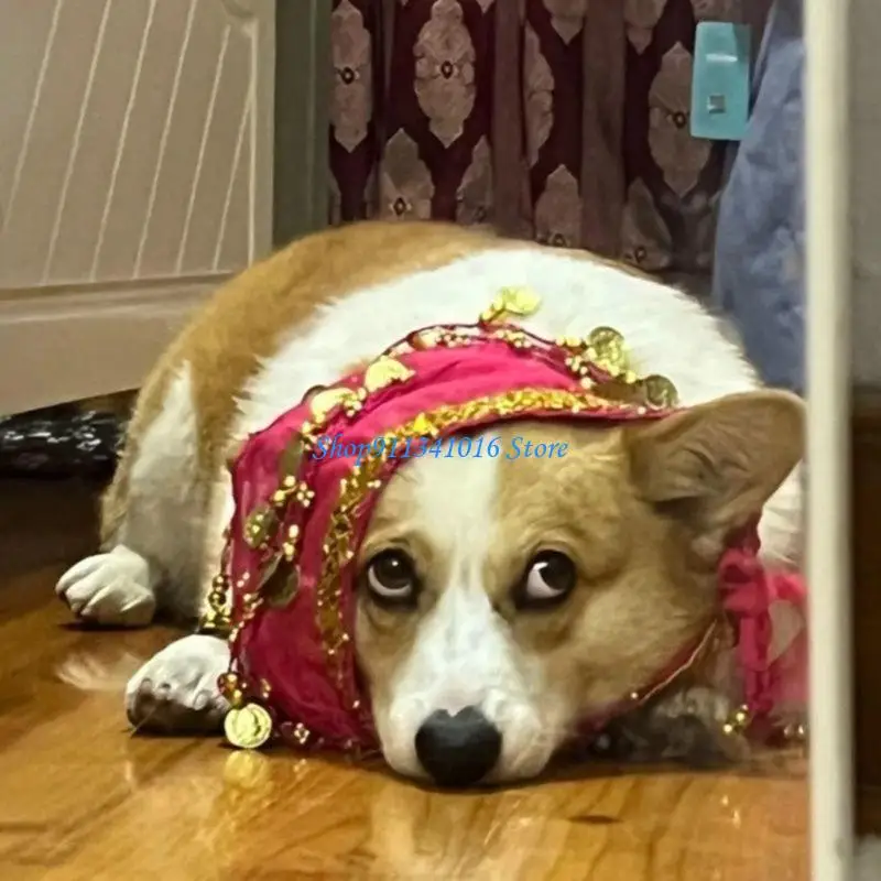  Sparkling Adjustable Dog Belly Dance Skirt Corgy Belly Dancing Costume Hip Scarf With Shimmering Sequins for Stage Show