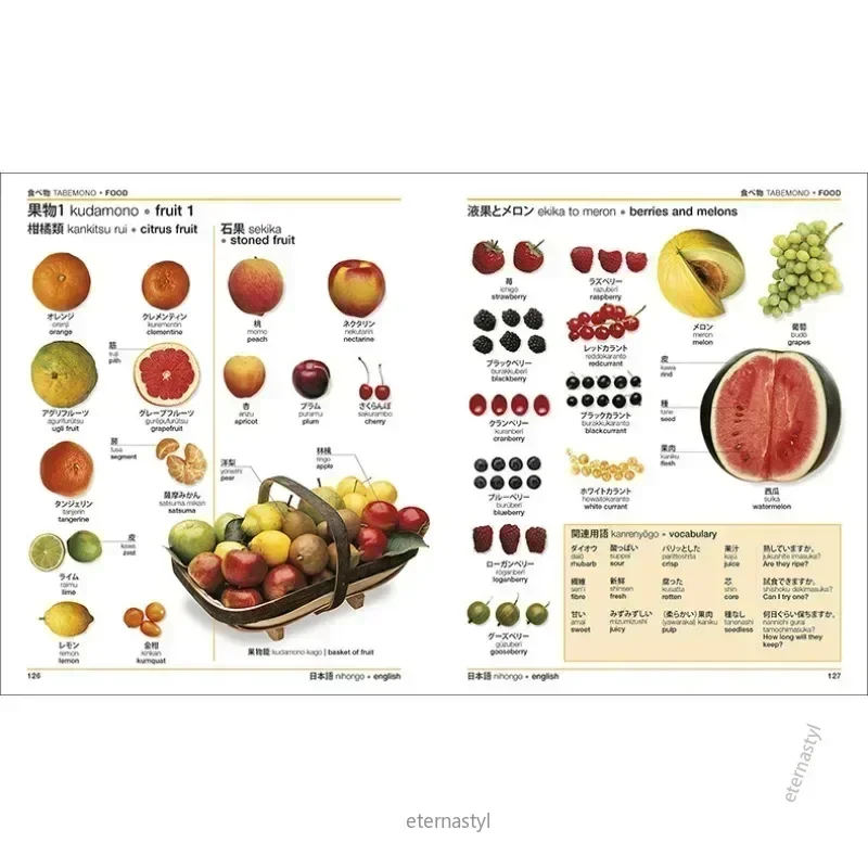 Books ofDK Japanese-English Bilingual Visual Dictionary Bilingual Contrastive Graphical Dictionary Book DIFUYA