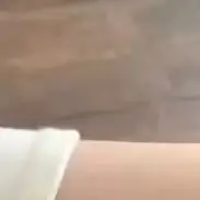 

Очаровательные носки с кошачьим низом и шариковым яйцом; Юмористические удобные хлопковые носки; Воздушные носки среднего размера; Специальные подарки для мужчин и женщин