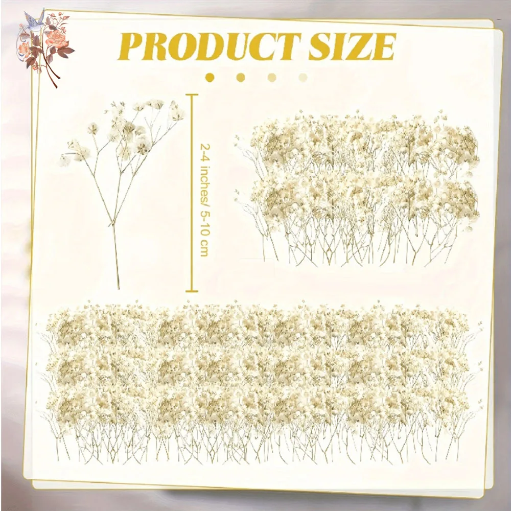 Thumbnail 2 - #77 Trending Dried Flowers Right Now