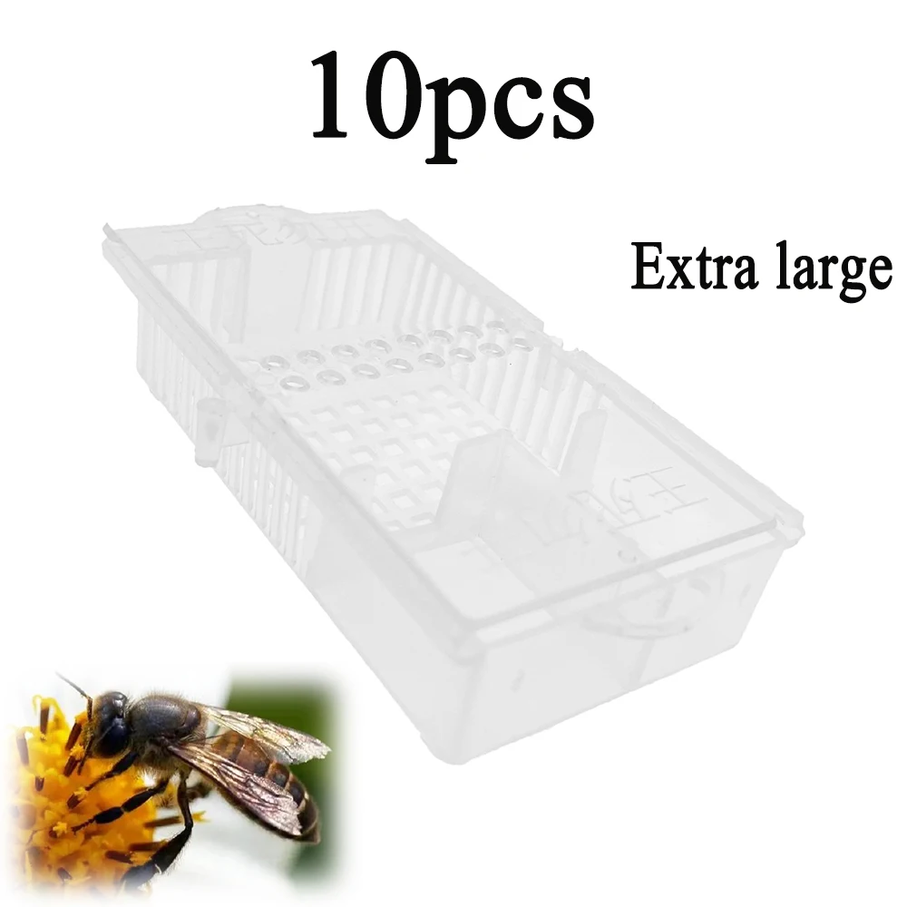 

10PCS Queen Bee Transport Cage Insectary Box With Lid Mailing Travelling Long Journey Inspection Catcher Battery Transparent