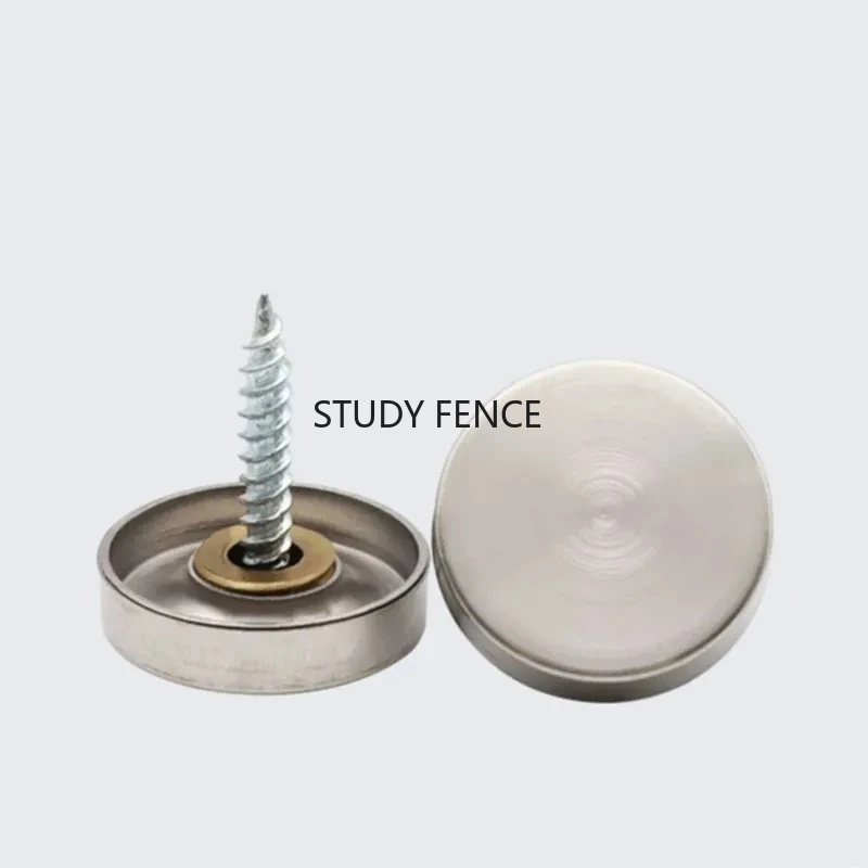 20set of Stainless Steel Mirror Nail Metal Advertising Nail Ceramic Tile Mirror Fixing Nail Household Hardware Accessories