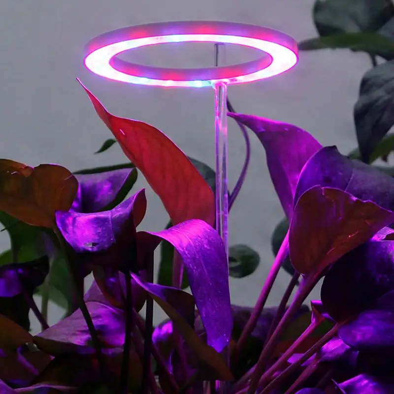 링 LED 식물 성장 조명, 실내 화분 LED 성장 램프, 다육 탁상용 수경재배 LED