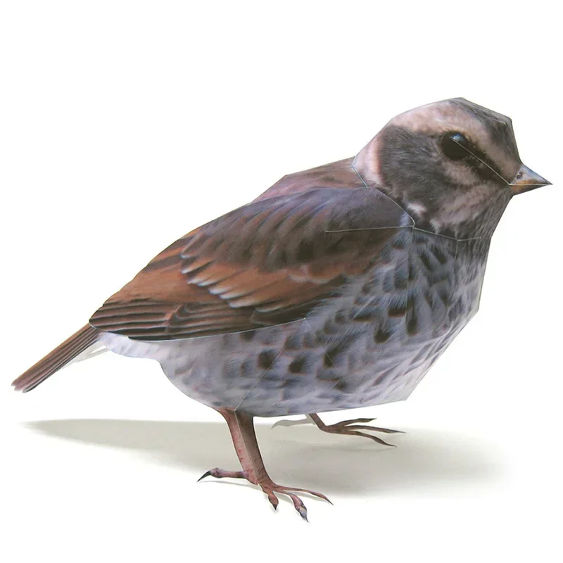 

Птица Dusky Thrush, бумажная модель, реалистичное животное, мини-милые оригами, искусство, 3D ремесло, сделай сам, дети, взрослые, игрушки ручной работы WE-033