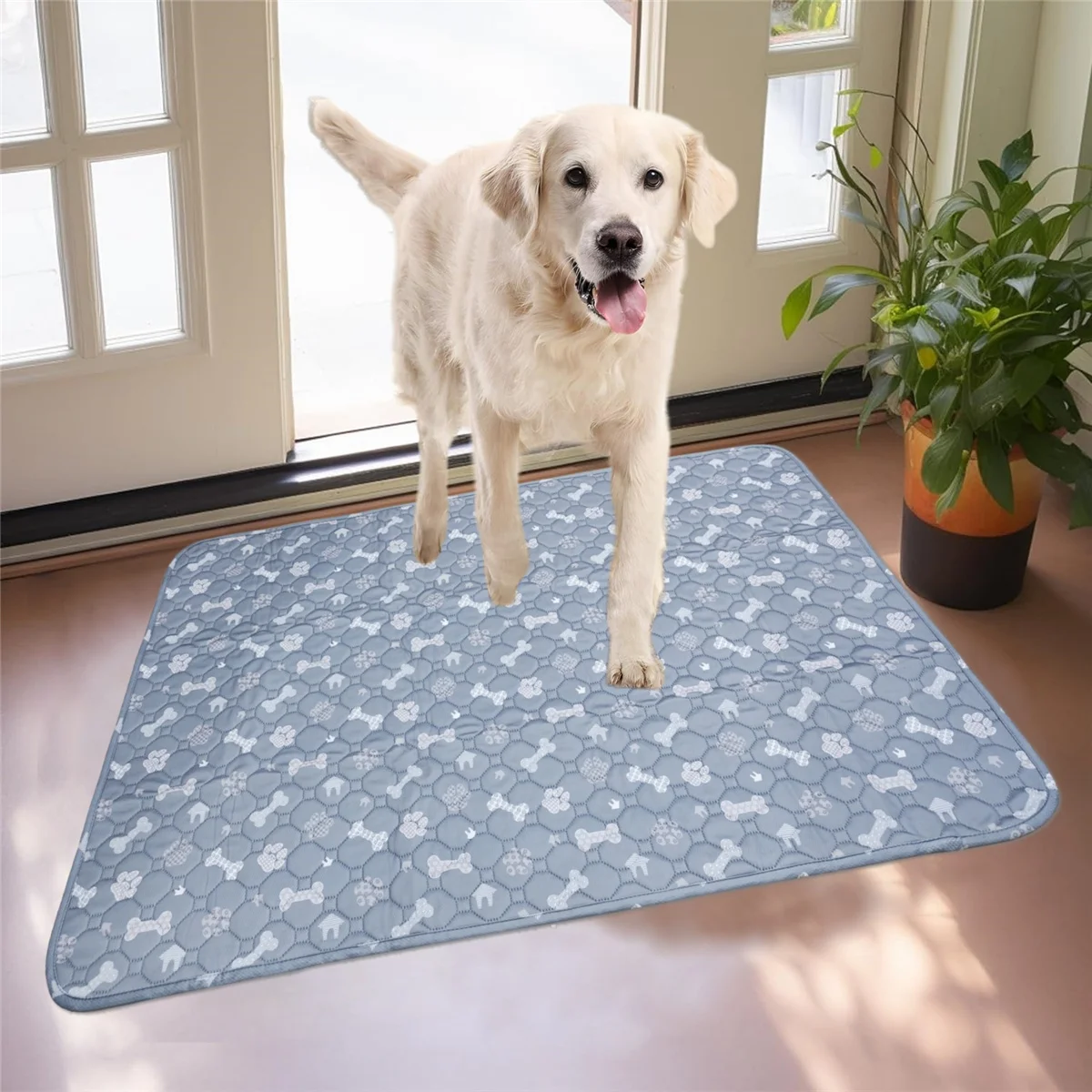 Washable Dog Pee Pad Reusable Pet Urine Mat Waterproof Puppy Training Diaper Mats for Car Seat Floor Sofa Pet Supplies