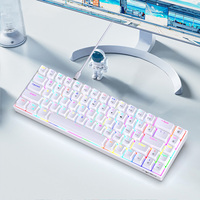 Gaming Mechanical Keyboard 68 Keys 19 Modes RGB Backlit LED Hot Swappable Red Brown Switch Wired Game Keyboard for PC Laptop