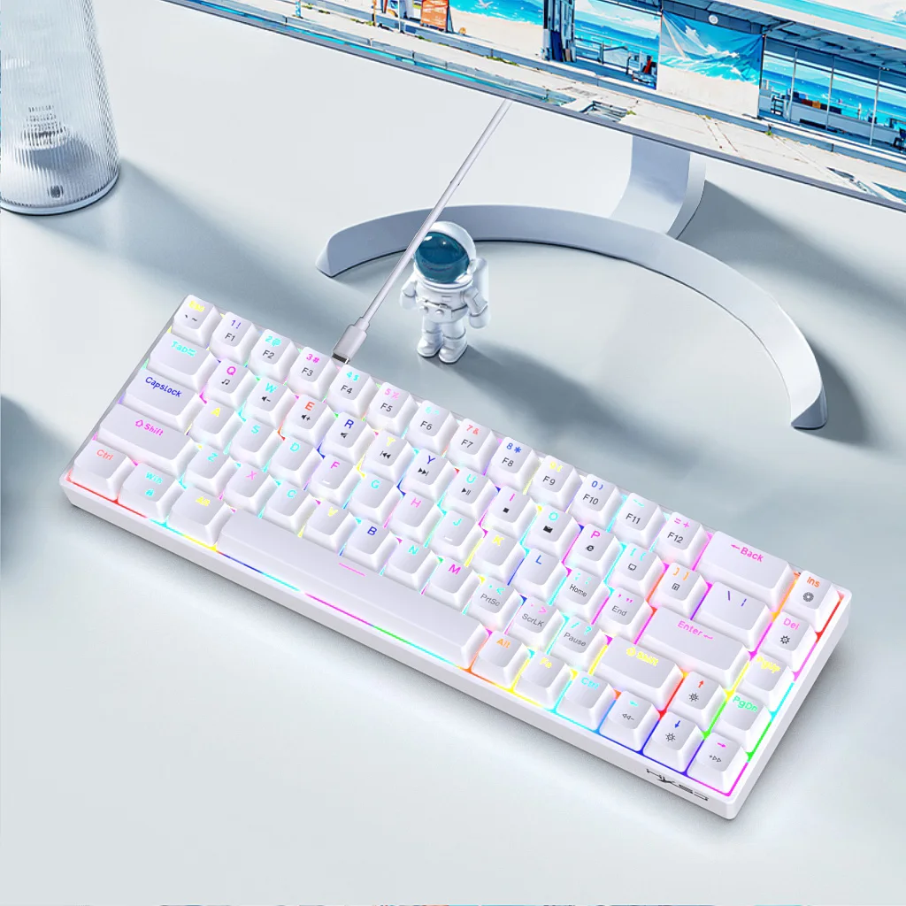 Gaming Mechanical Keyboard 68 Keys 19 Modes RGB Backlit LED Hot Swappable Red Brown Switch Wired Game Keyboard for PC Laptop