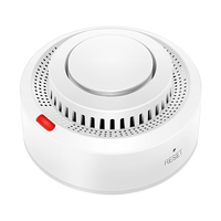 Graffiti Wifi Smoke Sensor Tuya Alarm Detector Versatile Practical Convenient and Portable Fire