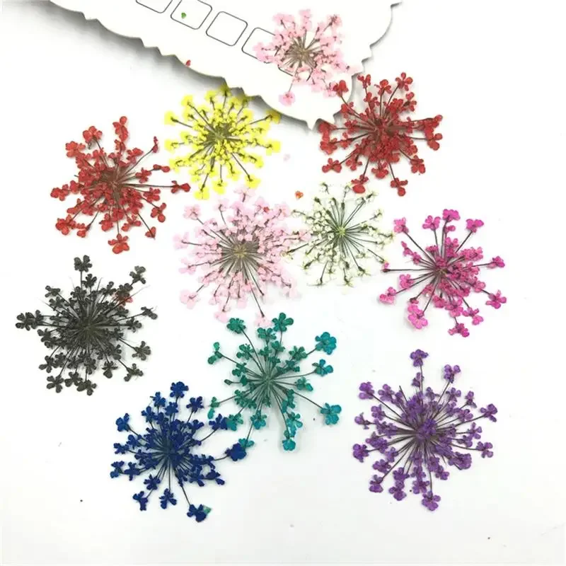 30 pezzi di piante secche naturali pressate, collana di fiori secchi, accessori per la creazione di gioielli artigianali fai da te, decorazioni floreali artificiali per unghie