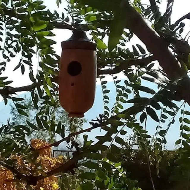 Kolibri-Haus Hängendes Vogelhaus aus Holz Handgefertigtes Nest Wildvogelhaus für Außenbereich Garten Dekoration – Detail 15