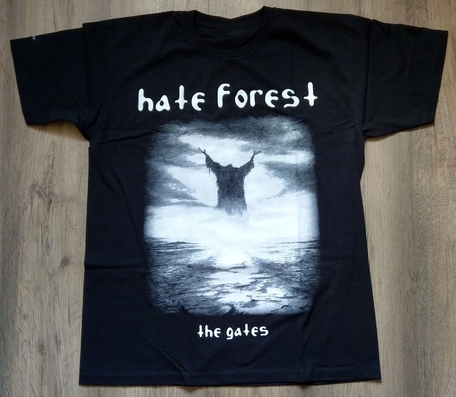 

Футболка HATE FOREST The Gates Мужская, черный хлопок, размеры от S до 5XL, BE576