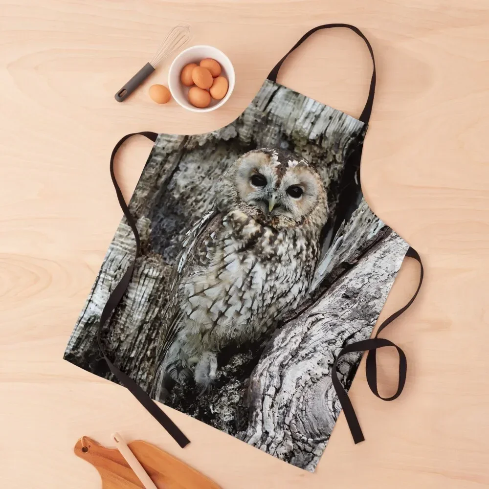 

Watercolor Owl Camouflaged in a Tree | Bird Lovers Gift Apron For Man carpenter Kitchenware Apron