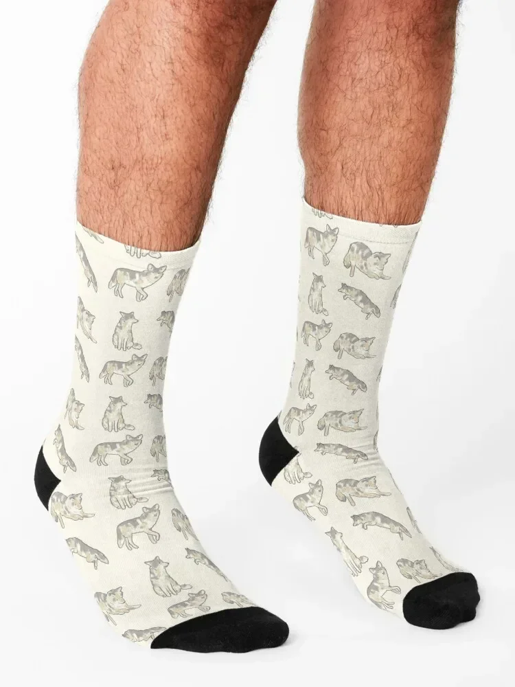 Cute Coyote art pack Socks snow sports stockings cute shoes Mens Socks Women's
