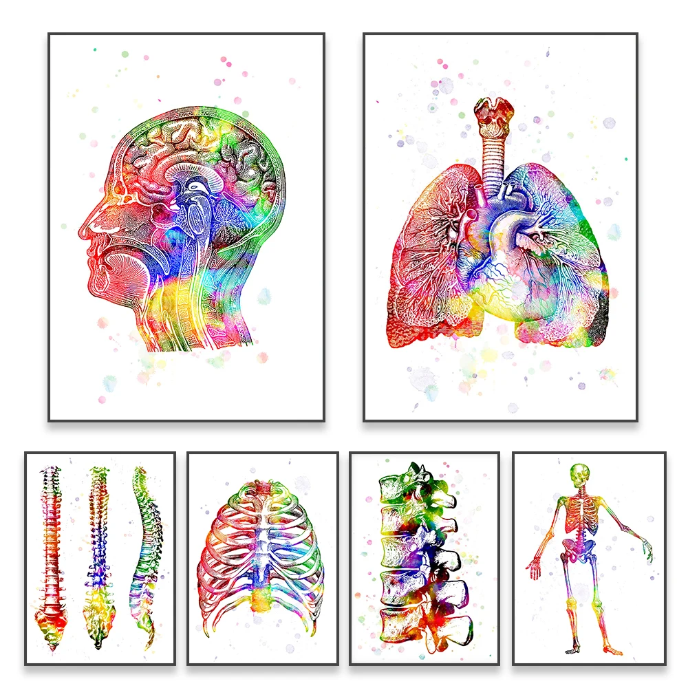 

Lungs and Heart Watercolor Art Poster Human Anatomy Art Wall Picture Prints Medical Science Canvas Painting Clinic Decoration