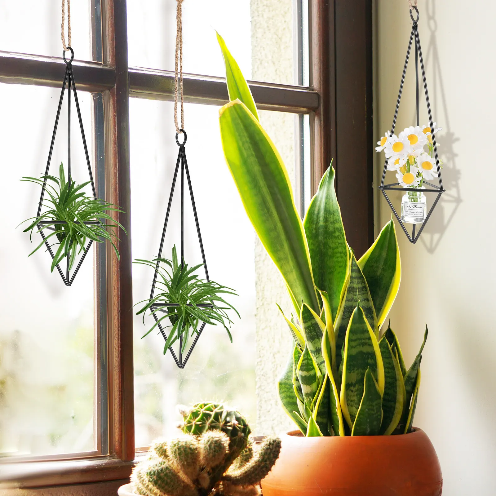 4Pcs Rustic Hanging Air Plant Holder Metal Geometric Planter for Air Plants Indoor Outdoor Home Office Decor Wall Shelf Window
