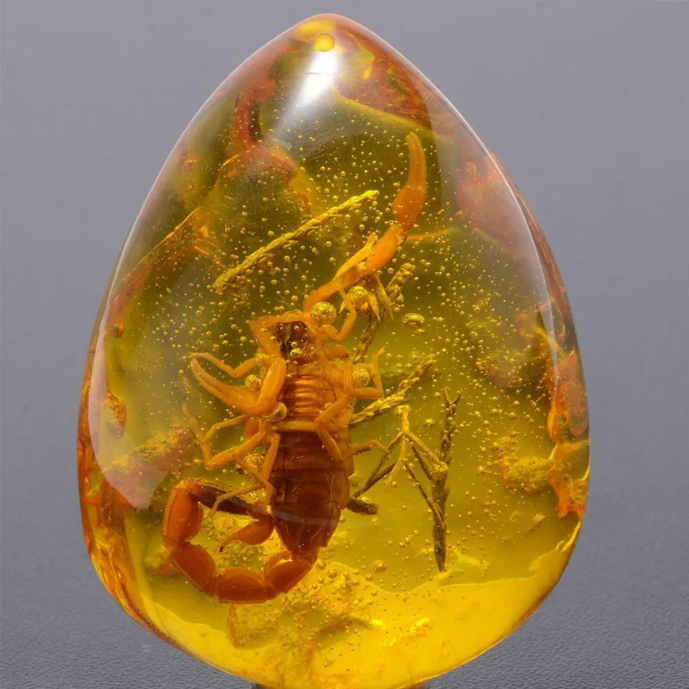 Insect Stone Natural Scorpions Inclusion Amber Baltic Necklace Pendant Wedding Stone Home Decorative Party DIY Gift I5Q0