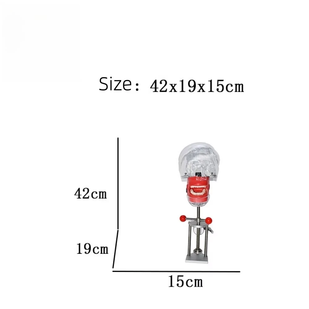Oral Phantom Head Simulator Model for Dental Practice & Training Manual Power Source for Dental School & Clinic