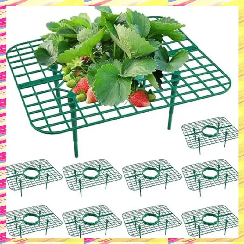 

ABJJ 20Pack Strawberry Plant Support, Strawberry Planting Stand, Strawberry Growing Racks, Strawberry Growing Frame