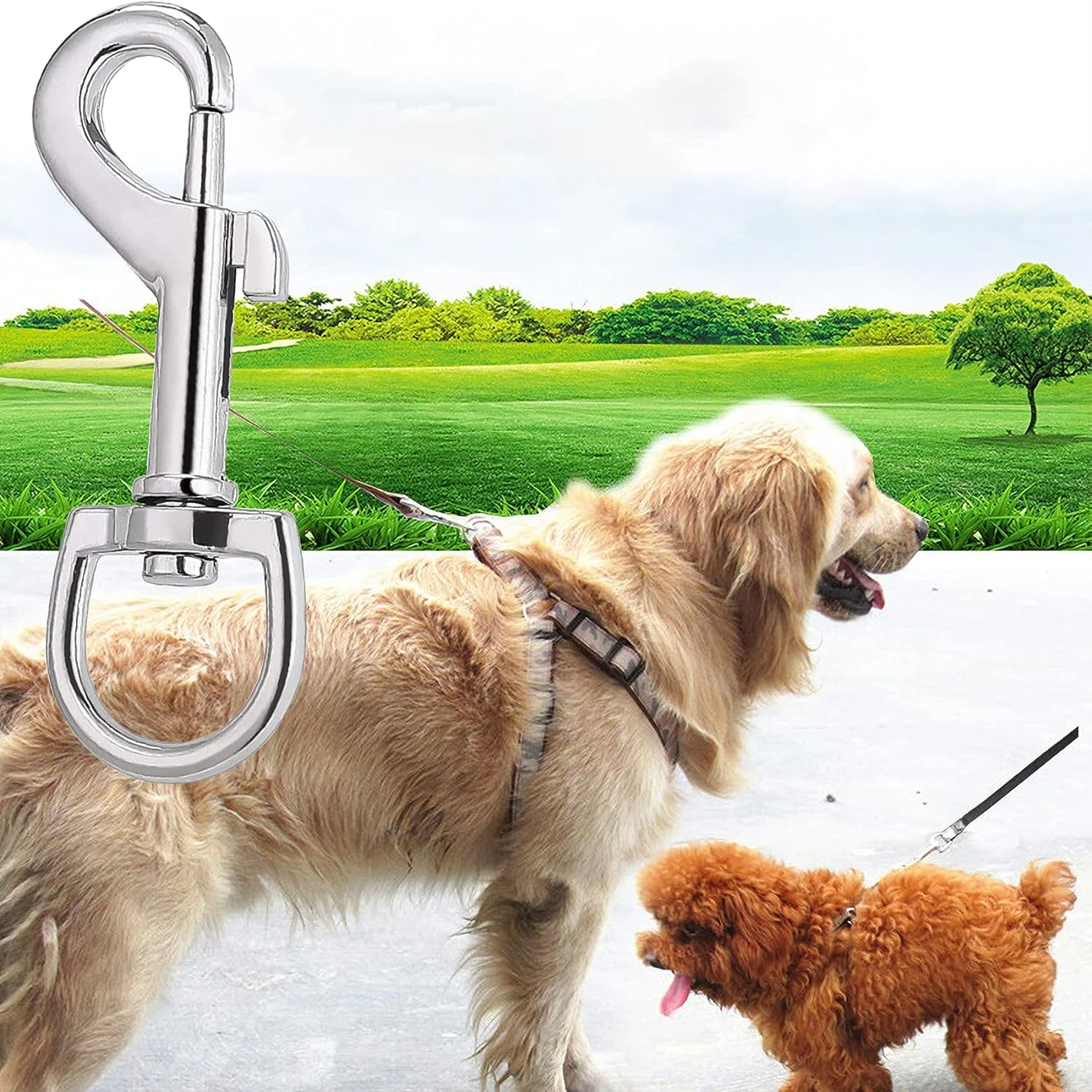 t accessories: premium swivel snap clips. Trustworthy and strong, these top-quality clips are a must-have for pet owners looking