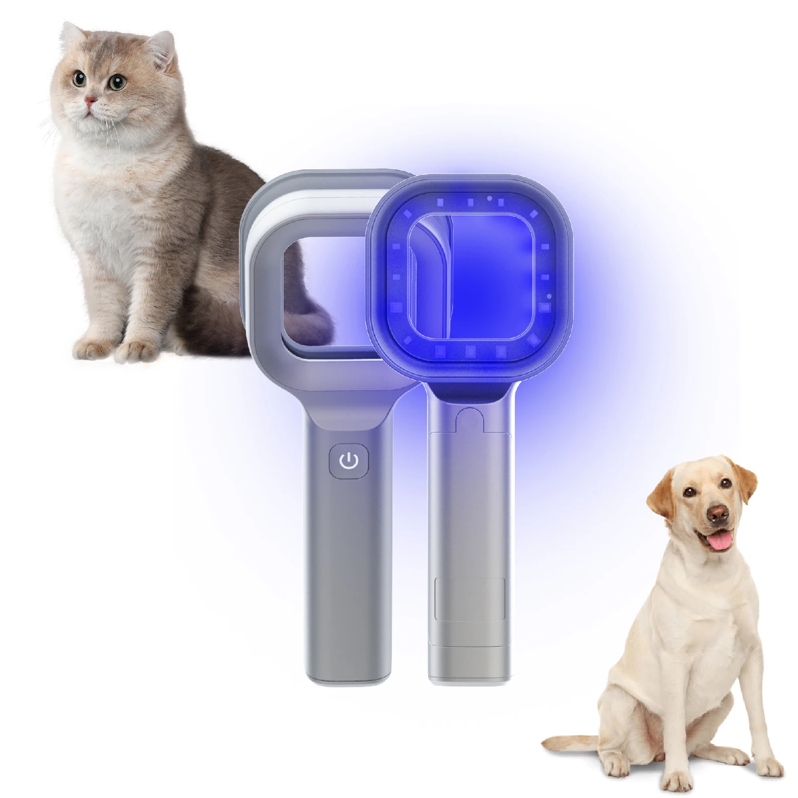 Attrezzatura per animali Analizzatore diagnostico per la pelle degli animali domestici Esame veterinario Pelle per animali domestici Lampada batterica in legno