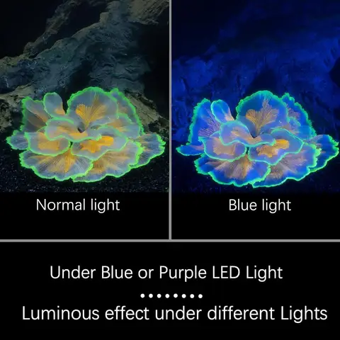 मछली टैंक सजावट चमकते फूल एक्वेरियम सजावट जलीय पौधे बेट्टा मछली टैंक सजावट कृत्रिम सिलिकॉन आभूषण के साथ 10 best sales मछली टैंक के पौधे - №1