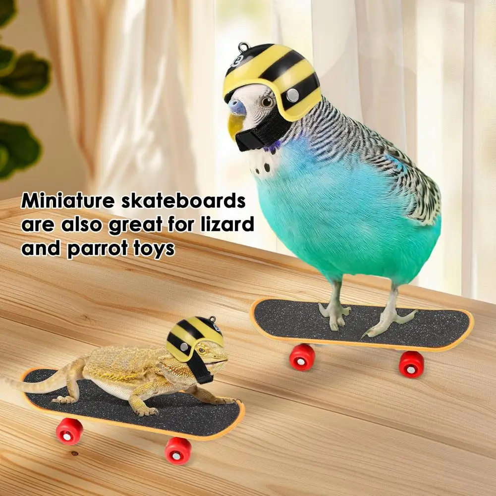 Pet Skateboard for Turtles Turtle Training Set with Fruit Vegetable Feeding Ball Mini Skateboard Toy for Small for Little