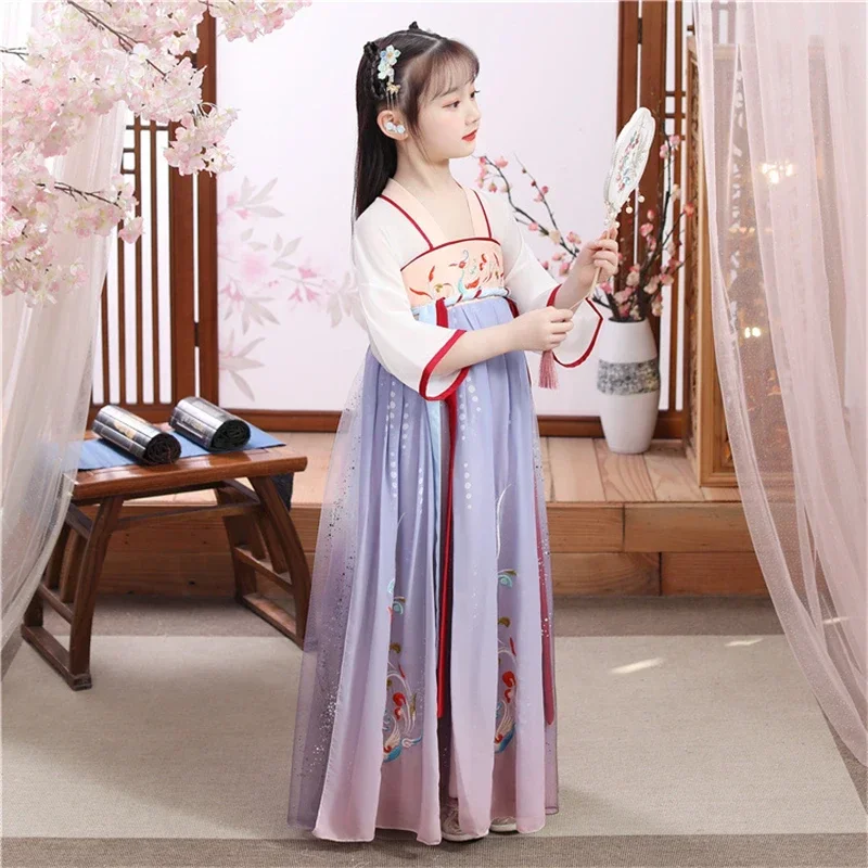 Ancient Performence Kids Birthday Party Dresses Photography Dress Girls Embroider Traditional Chinese Style HanFu Gown