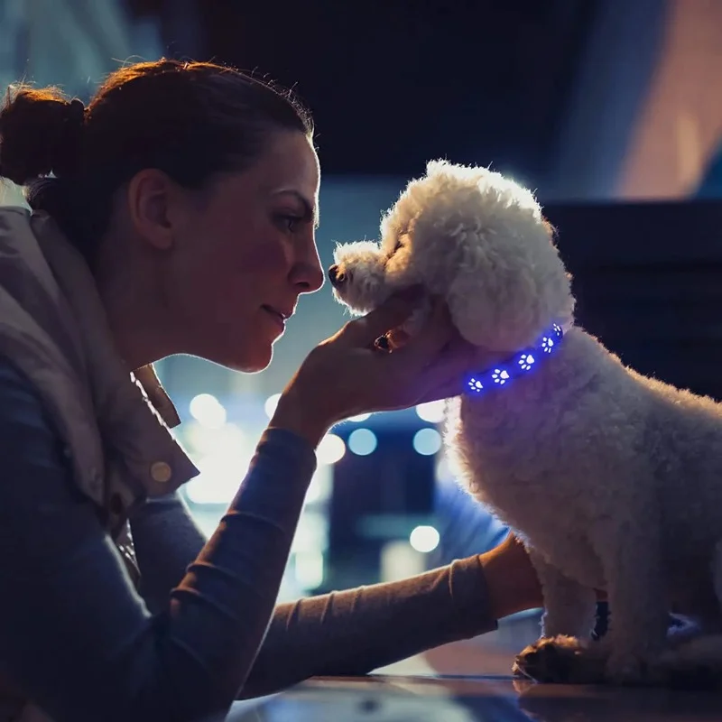 7 Modes LED Luminous Dog Collar Paw Colourful Light Pet Collar USB Chargeable Dog Walking Bright Night Anti-lost Dog Accessories