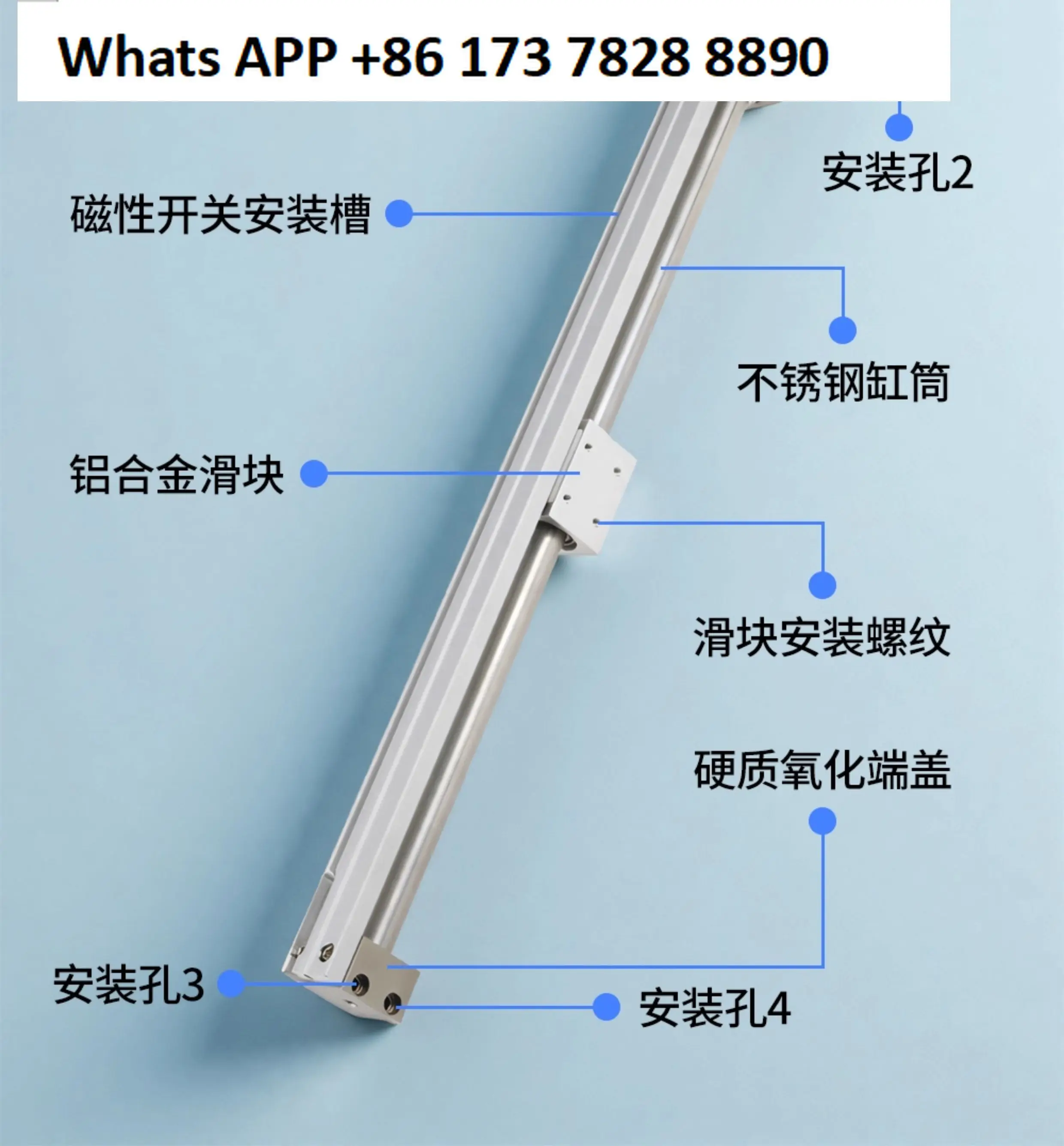 Magnetic Lotus Type…