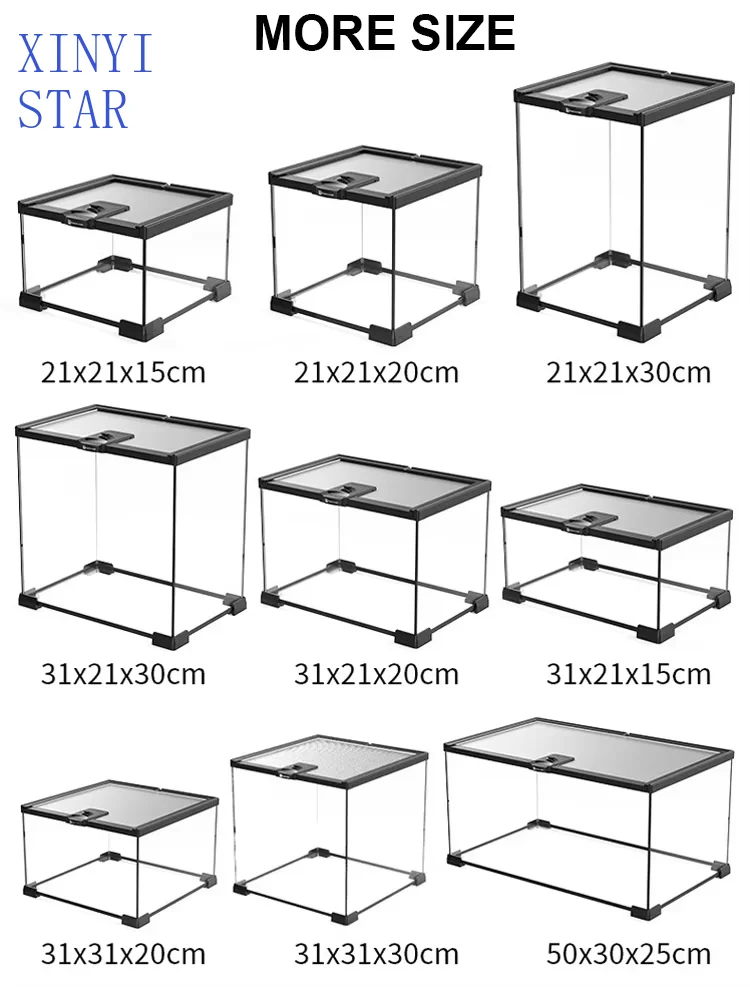 Reptile Feeding Box Assumable Reptile Glass Terrarium