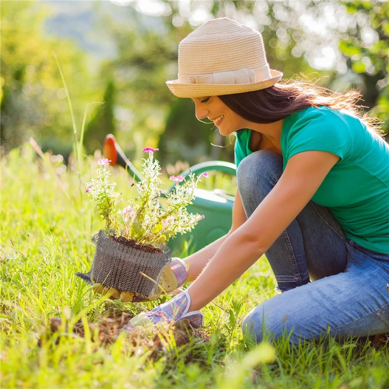 ABRW-Plant سلال حماية الجذر سلك سلة الخلد والفول سلال الأسلاك الشبكية لأواني الحديقة الجذر تحت الأرض دائم (12 قطعة، 3 Ga