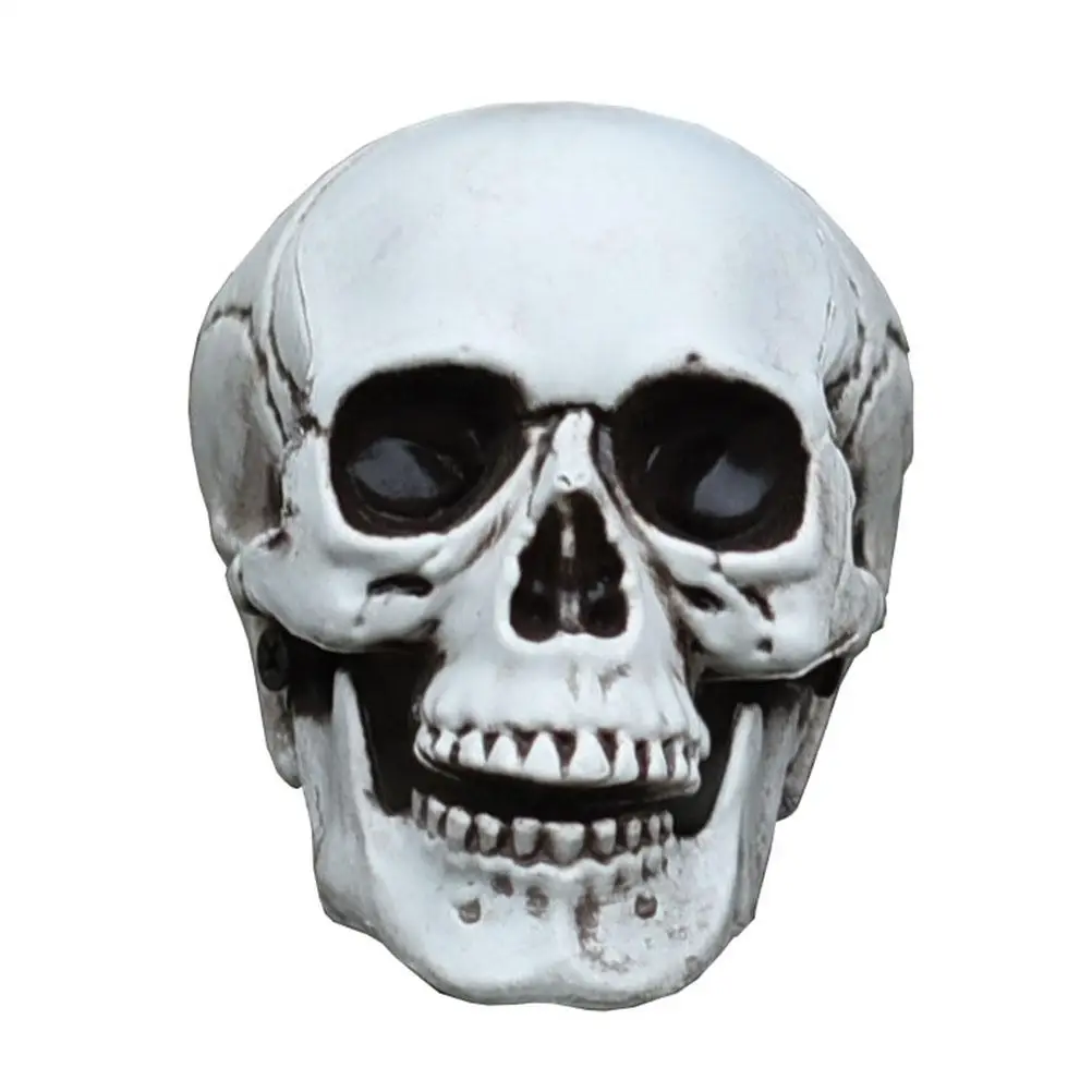 

Halloween Skull Model Head Ornament Girl Theme Party Decoration Fake Plastic Prop
