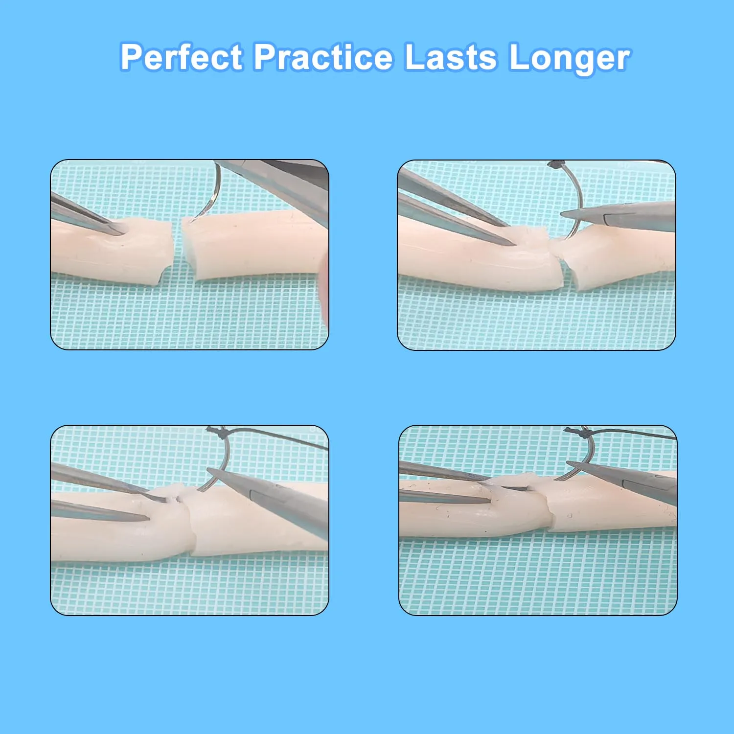 Nerve tendon suture training peripheral nerve tendon repair simulator surgical suture model