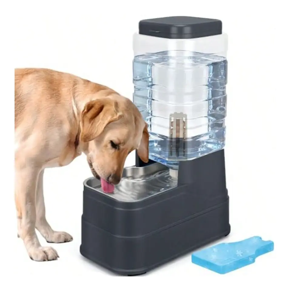 Automatic Dog Water Dispenser with Stainless Steel Bowl